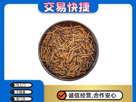岳阳县回收散虫草